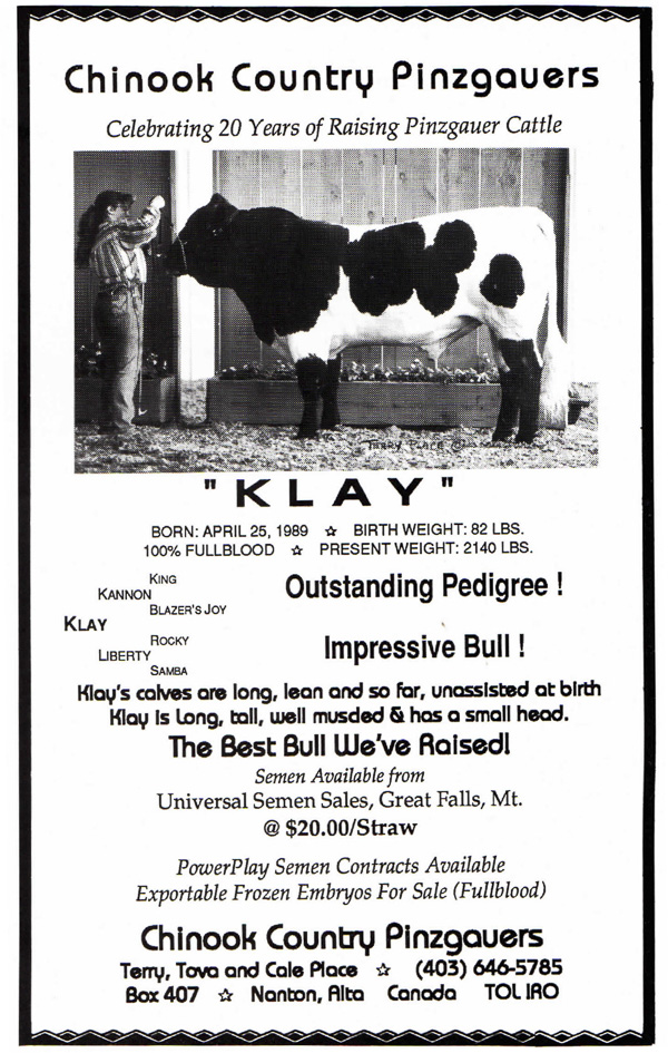 Klay Pinzgauer